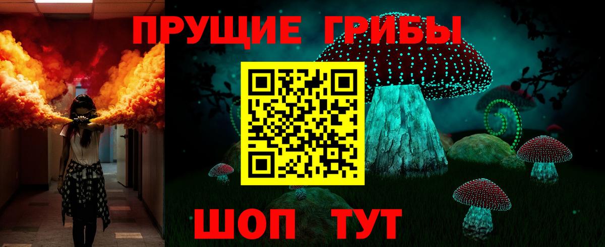 Галлюциногенные грибы Psilocybine cubensis Туапсе
